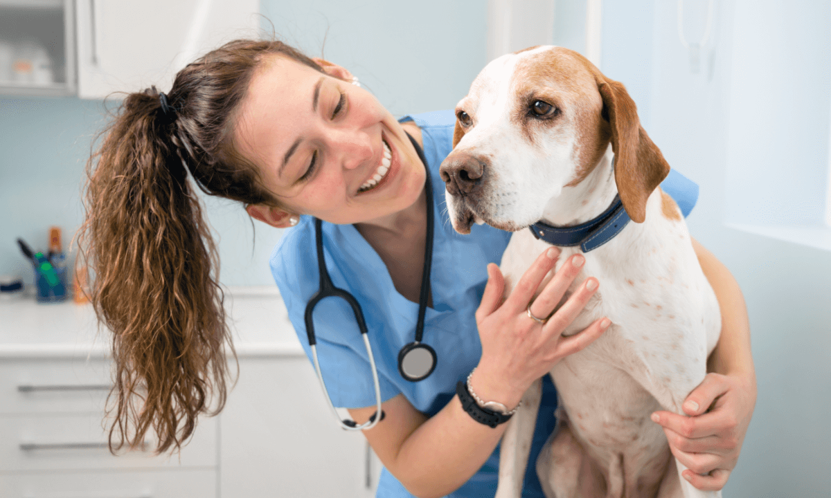 Petco Love Announces Monetary Assistance For College Veterinary Program